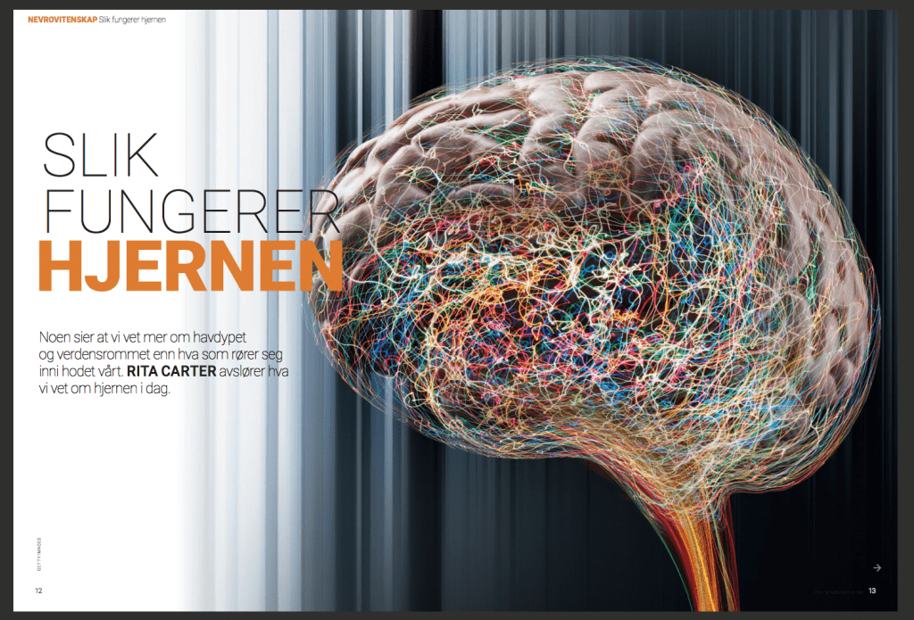 Slik fungerer hjernen, oppslag
