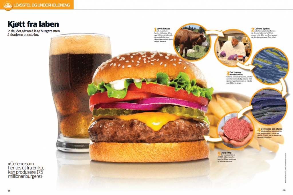 Kjøtt fra laben, oppslag