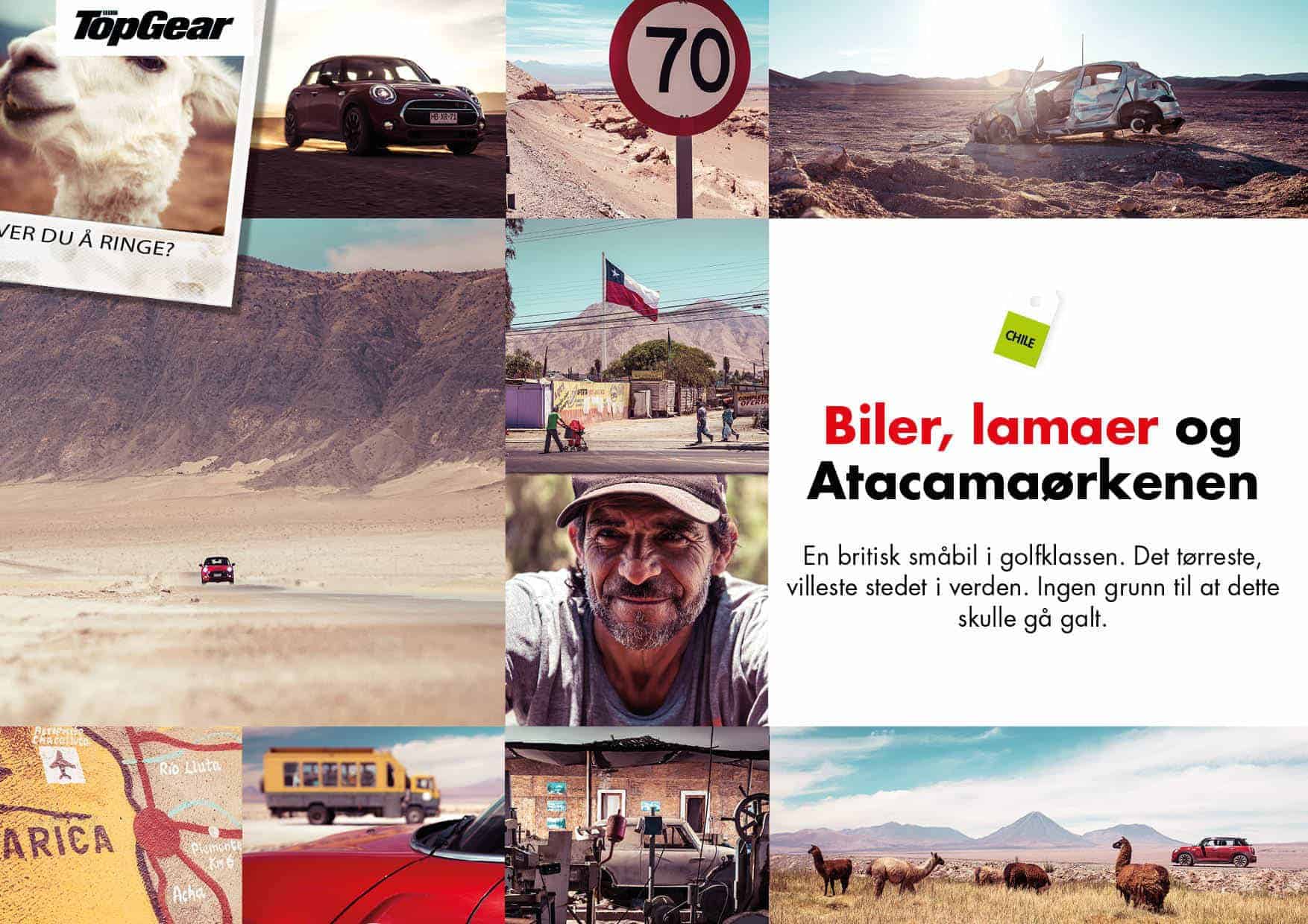 Biler, lamaer og Atacamaørkenen