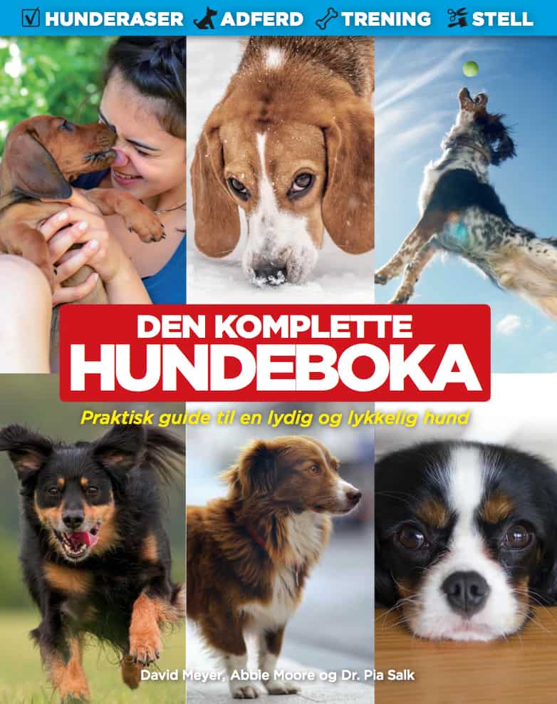 Den komplette hundeboka