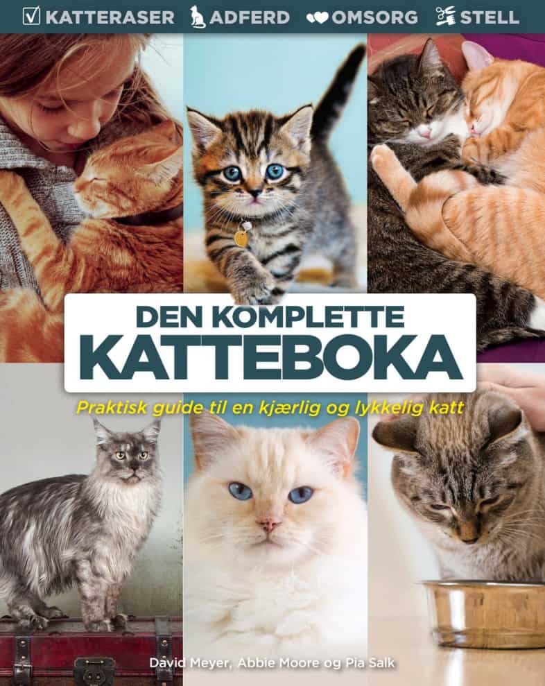 Den komplette katteboka